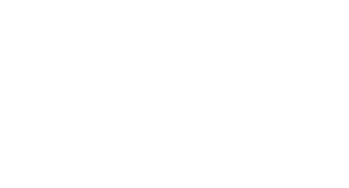 Karlis logo